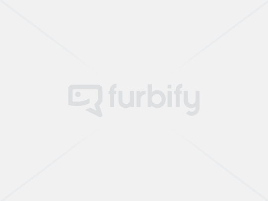 Notebook Microsoft Surface Pro 7 Platinum (without keyboard) (8GB) (128GB) (Touchscreen)