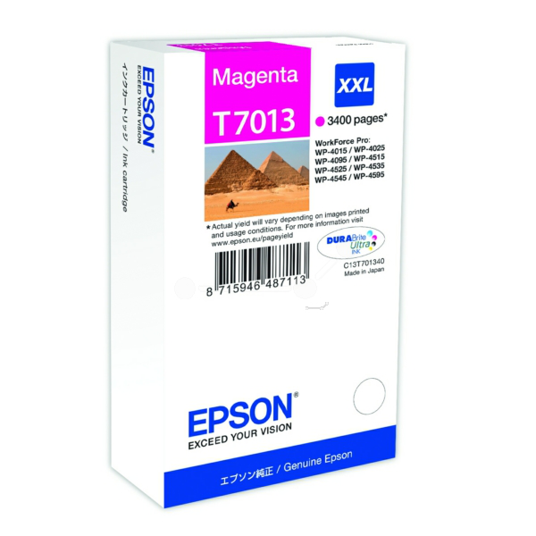 Farba do tlačiarne Epson T7013XXL (C13T70134010) magenta (purpurová) - originálna